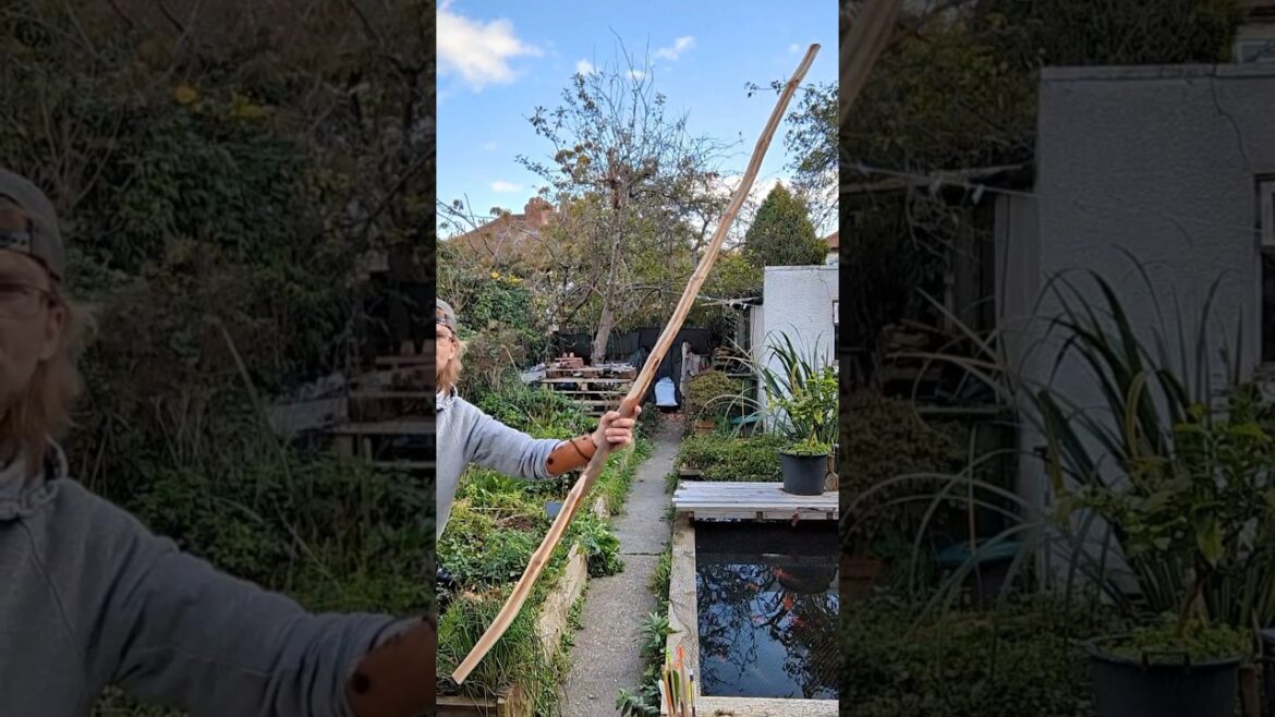 Yew Yumi #craft #longbow #japanese #bowmaking #archery #asiatic #yumi #woodworking #traditional #diy Yew Yumi #craft #longbow #japanese #bowmaking #archery #asiatic #yumi #woodworking #traditional #diy