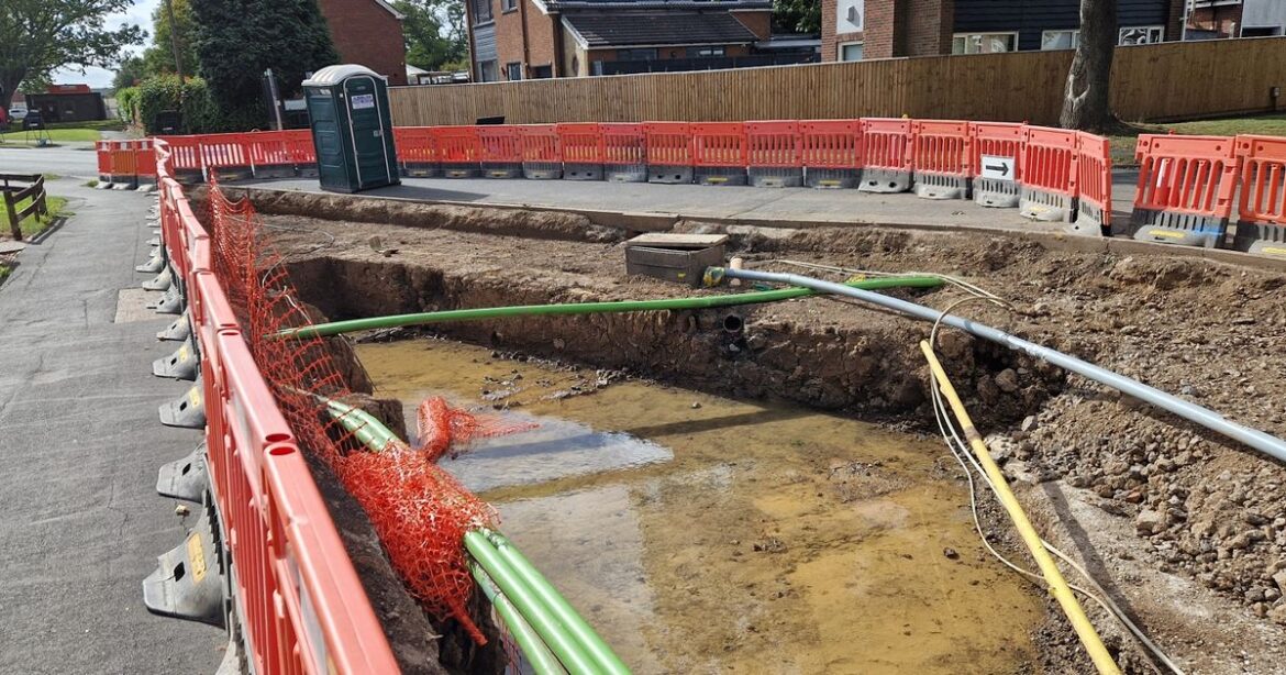 £770k work to create rain gardens in Immingham to reduce flood risk Ipso logo