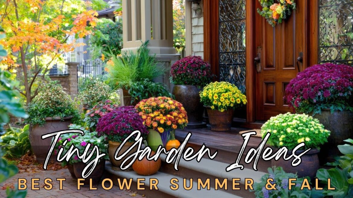 🍂 Genius Tiny Garden Ideas for 2025: Best Flower Picks for Late Summer & Early Fall Garden