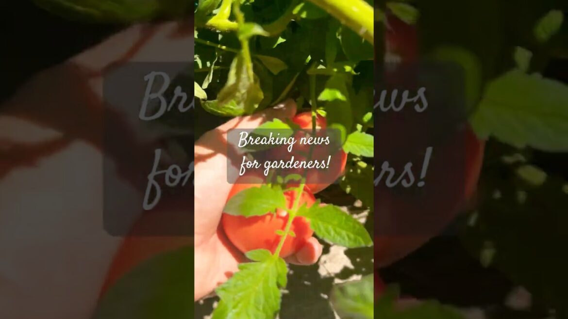 Breaking news for gardeners! Canada’s growing zones are changing!!