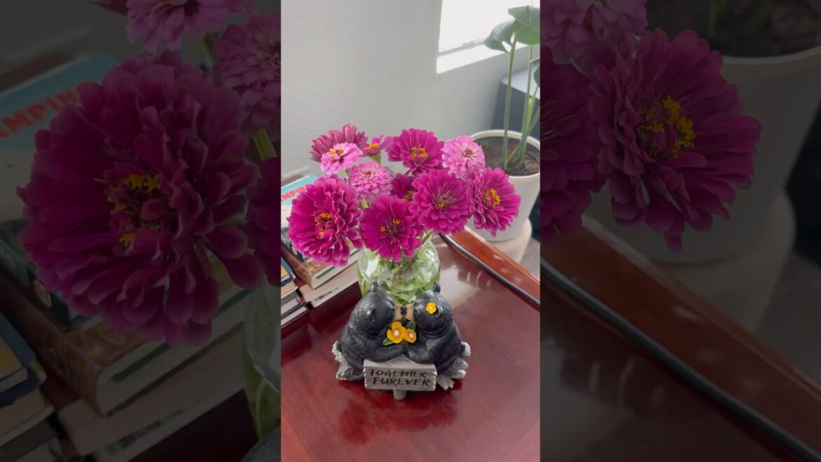 Picked with love, arranged with joy π·π || Flowers From Front yard || USA Telugu Vlogs #flowers Picked with love, arranged with joy π·π || Flowers From Front yard || USA Telugu Vlogs #flowers