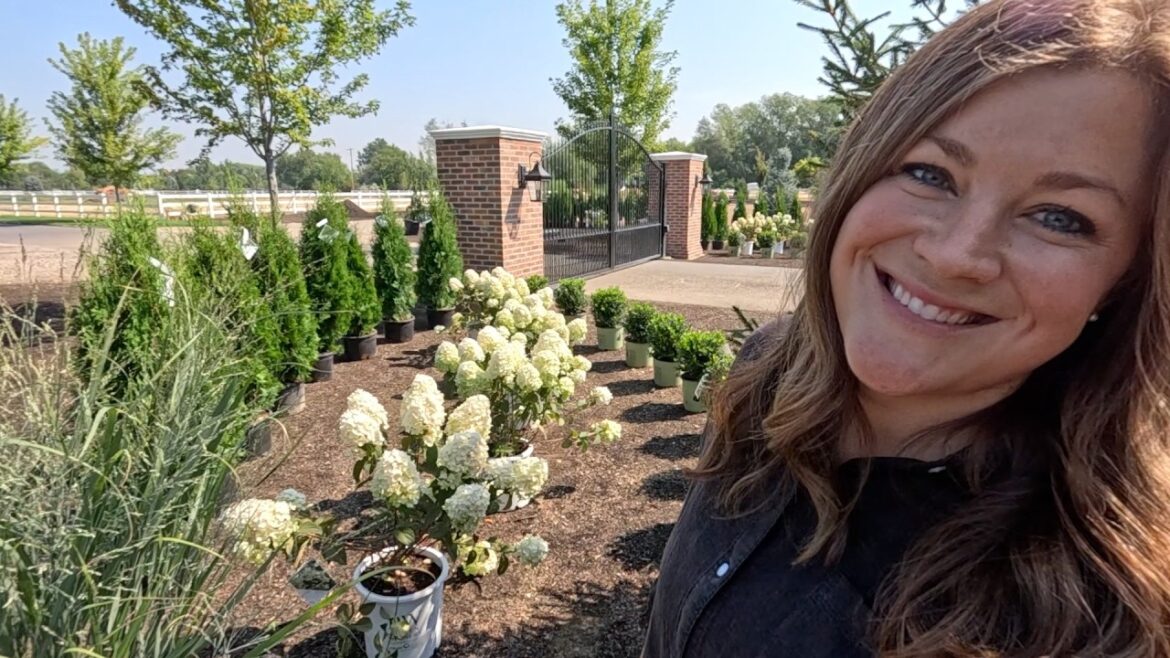 Garden Answer: Pillar Caps Arrived, Plant Placement for Entryway & Planting Pretty Fall Containers! 🙌🌿🍂 Pillar Caps Arrived, Plant Placement for Entryway & Planting Pretty Fall Containers! 🙌🌿🍂