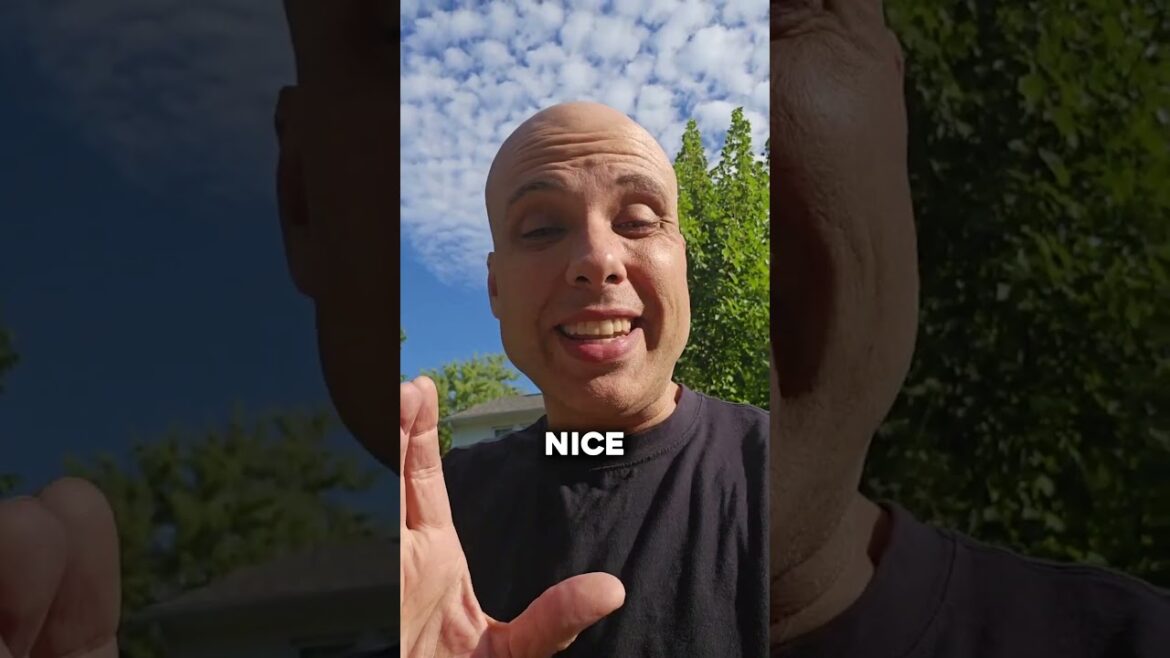 Look what I found in the trash! Look what I found in the trash!