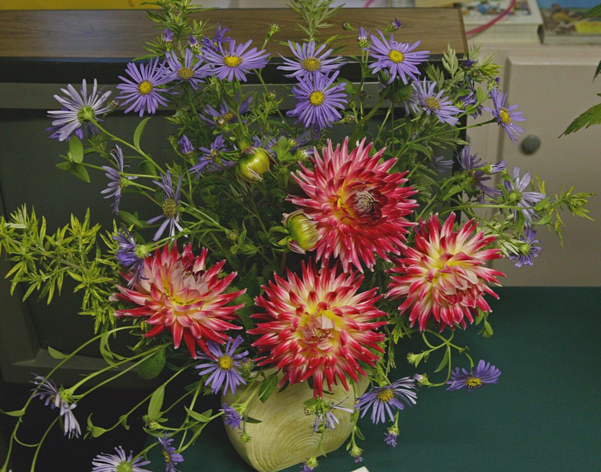 dahlia arrangement [OC]