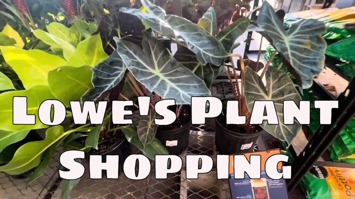 🪴 Come Plant Shopping with Me at Lowe’s Garden Center | Central Florida Plant Haul & Price Check!