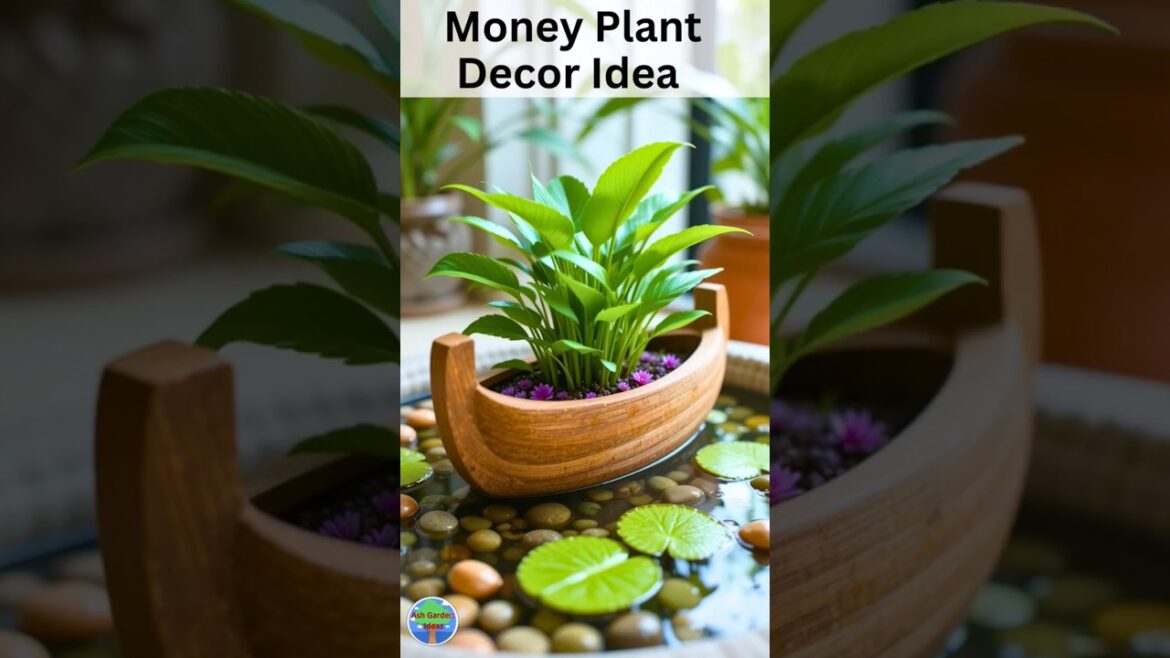 18 Money Plant Decor Ideas That Will Make Your Indoor Garden 18 Money Plant Decor Ideas That Will Make Your Indoor Garden