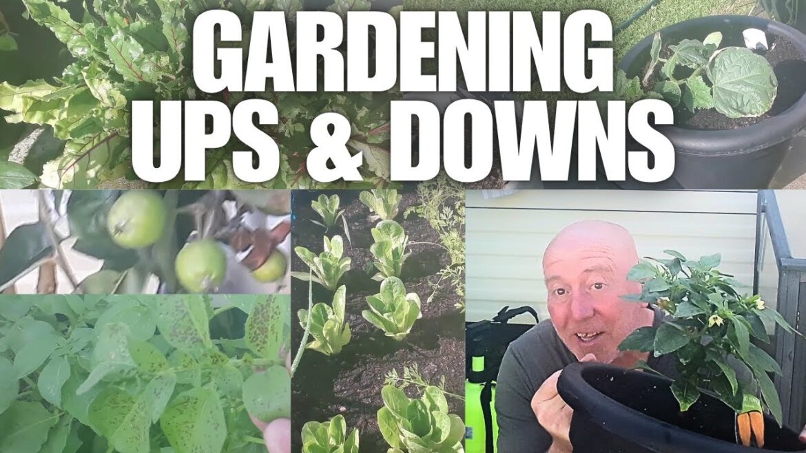 Gardening Ups & Downs  [Container Gardening ]