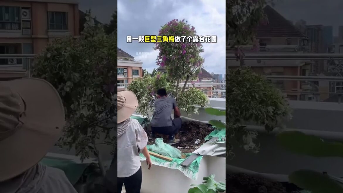 The Surprising Benefits of Vegetable Gardening The Surprising Benefits of Vegetable Gardening