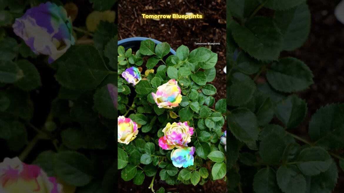 These Gardening Hacks Will Turn You Into a Pro Instantly! #lifehacks