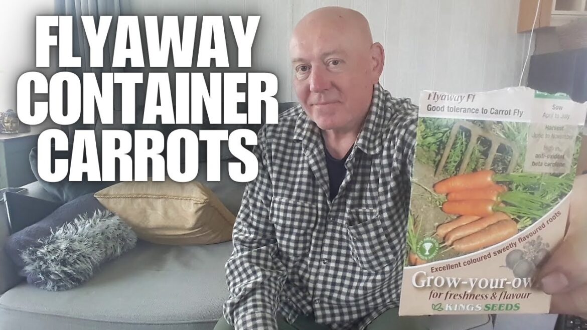 How To Grow Container Carrots Flyaway [Container Gardening ]