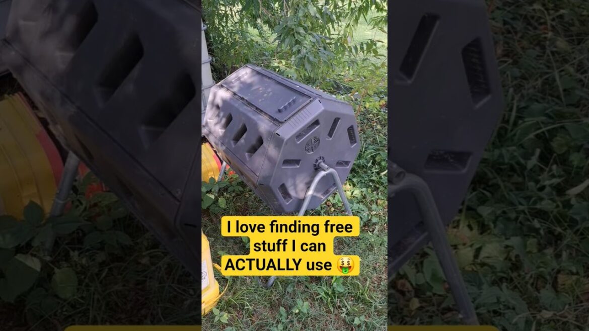 Junking for Garden Supplies