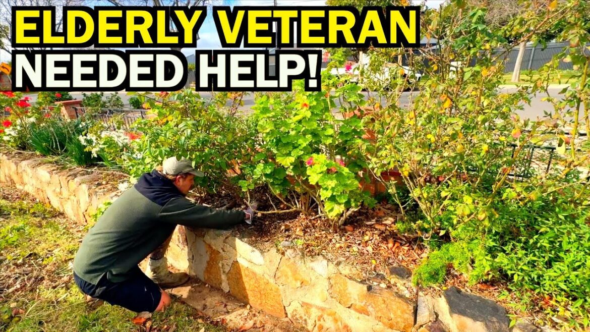 VETERAN Couldn’t Cope With His OUT OF CONTROL Yard – I Gave Him PEACE VETERAN Couldn't Cope With His OUT OF CONTROL Yard - I Gave Him PEACE
