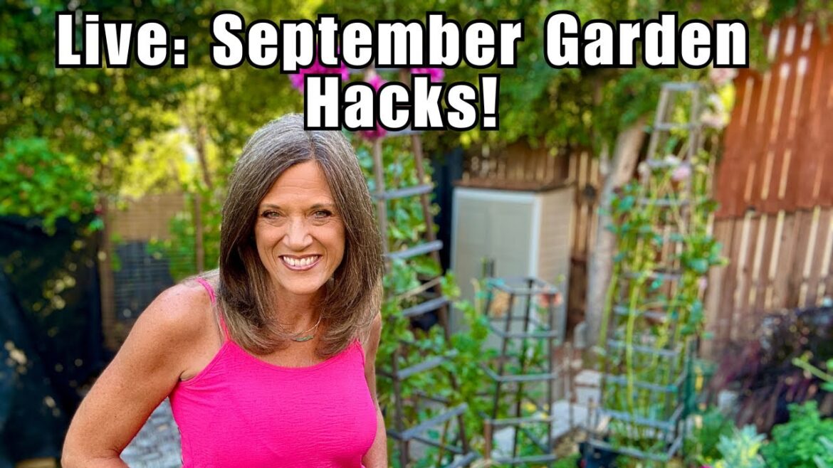 CaliKim: LIVE: September Garden Game Plan – 4 Hacks You Can’t Miss LIVE: September Garden Game Plan – 4 Hacks You Can’t Miss