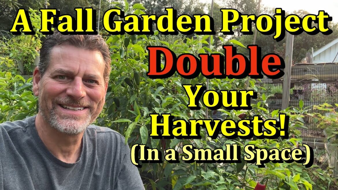 Double Your Harvests - Build a Fall Sunken Container Garden - (Double Your Pepper Yields)