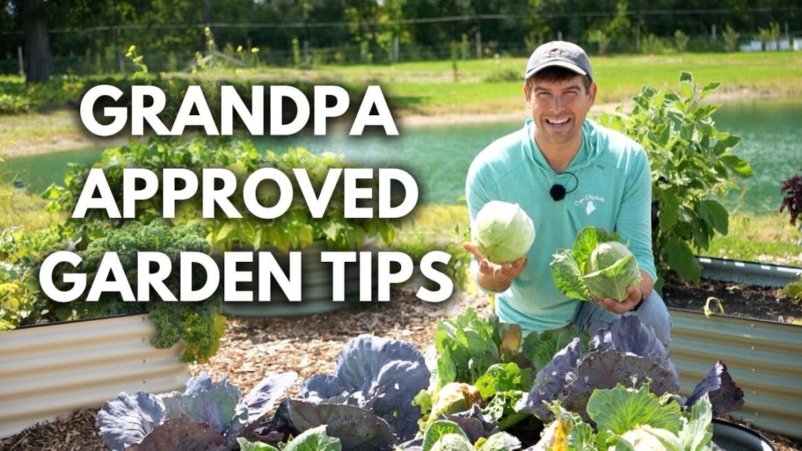 I Learned THESE 5 Life Changing Garden Tips From My Grandpa