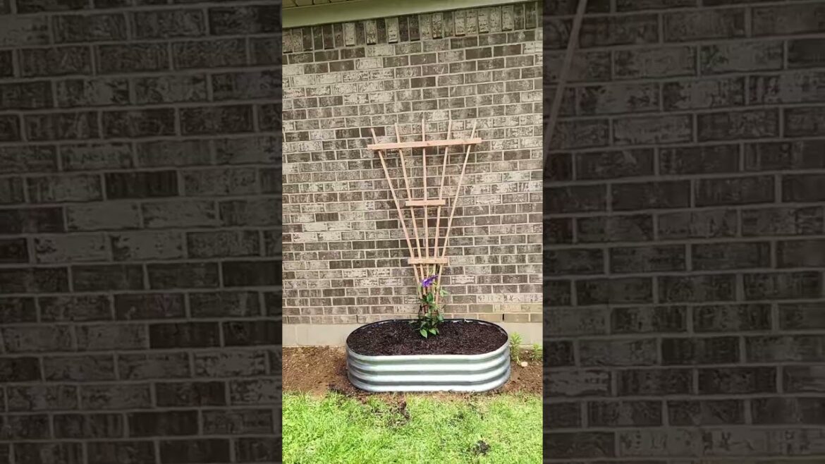 FLASH SALE!! #garden #planter #raisedbedgarden #plants #flowers FLASH SALE!! #garden #planter #raisedbedgarden #plants #flowers