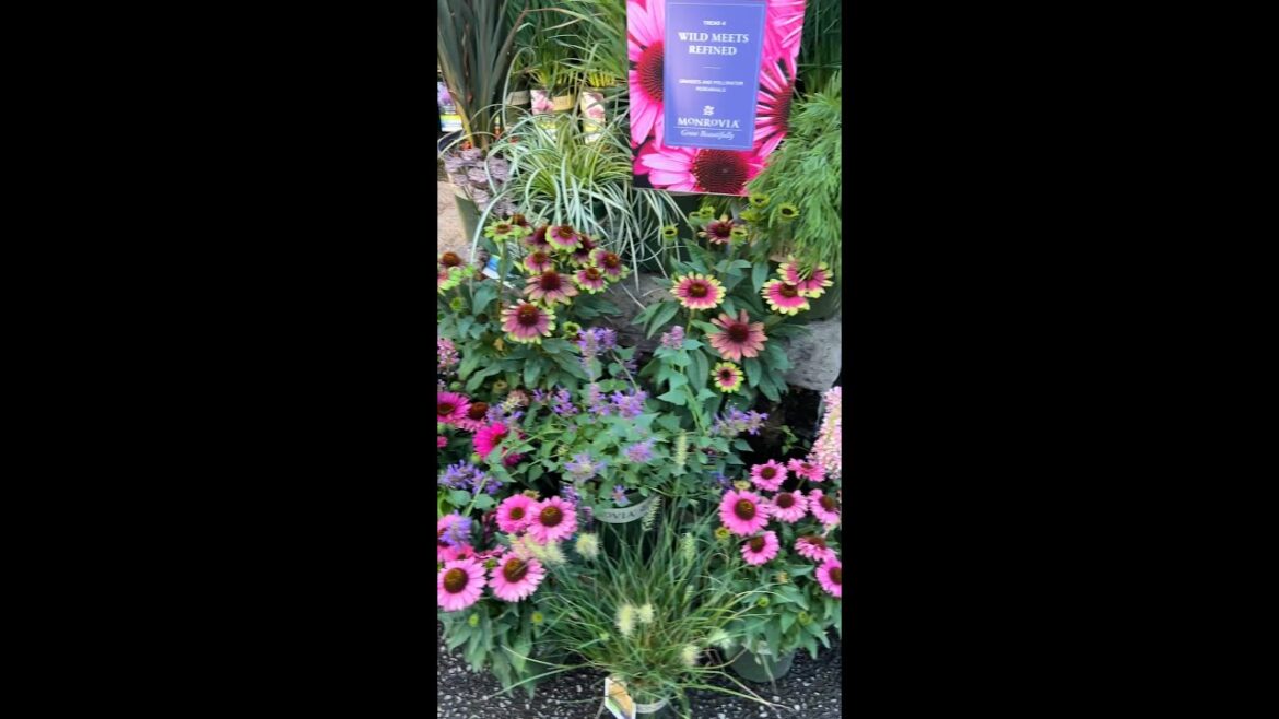 New Garden Trends 2026: Wild Meets Refined | Natural, Easy-Care, Pollinator-Friendly Design