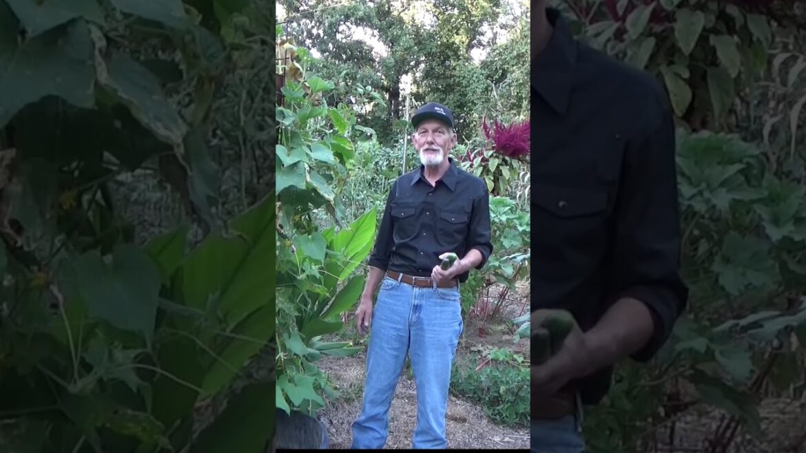 Garden trends never worked