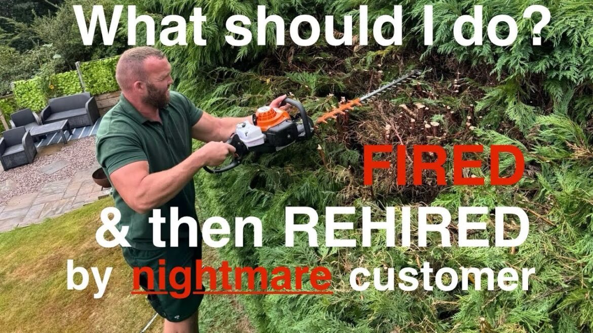 I GOT FIRED, THEN REHIRED! What should I do? | Gardener UK I GOT FIRED, THEN REHIRED! What should I do? | Gardener UK