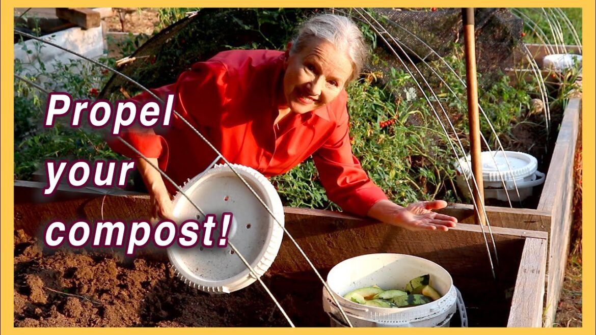 Kaye Kittrell: Finding the Right Location for your WORM TOWER Finding the Right Location for your WORM TOWER