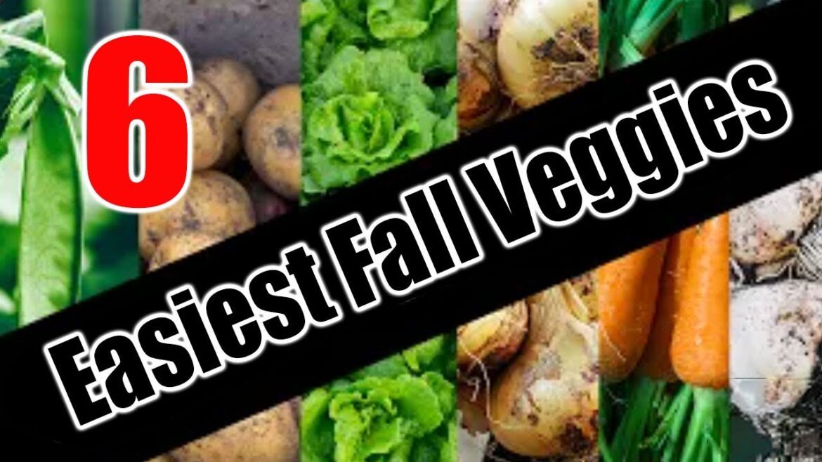 Top 6 Easy To Grow FALL Vegetables For Beginners/SEED TO HARVEST