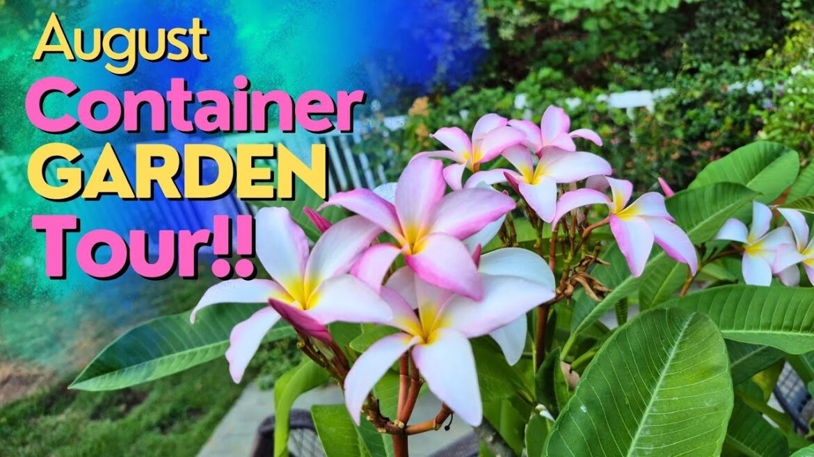 August Container Garden Tour '25! Over 50 Containers  of Annuals & Perennials!