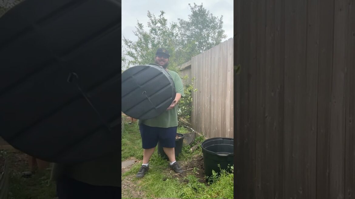 How I Grow Big Fruit Trees in Containers