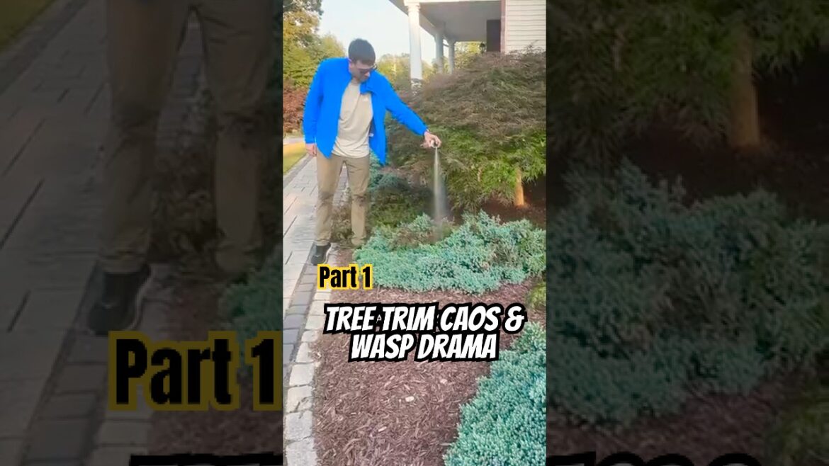 First Tree Trim = Boss Fight 🐝🔥 First Tree Trim = Boss Fight 🐝🔥