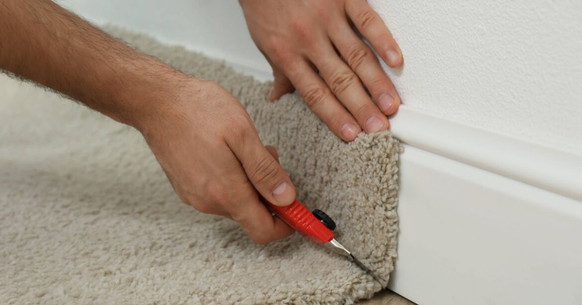 UK gardeners told to put piece of carpet in their garden during September Ipso logo