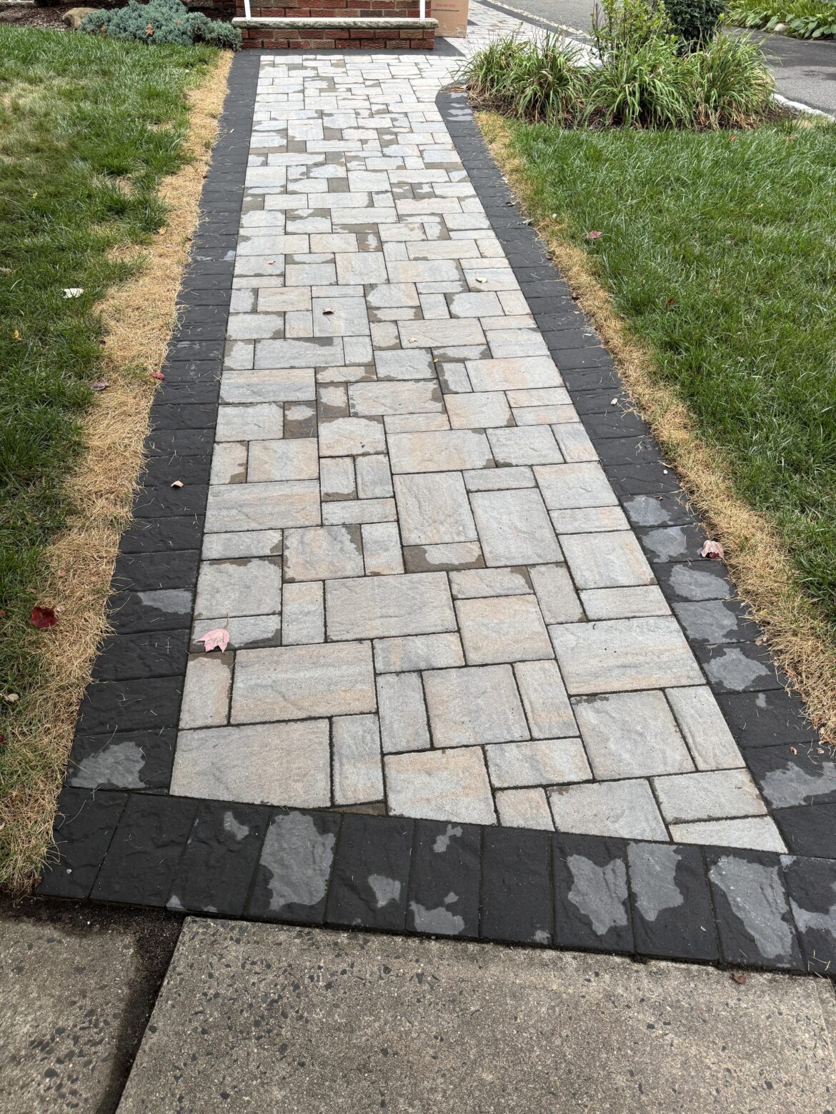 Purchased a home, why is the grass along the walkway struggling? Purchased a home, why is the grass along the walkway struggling?