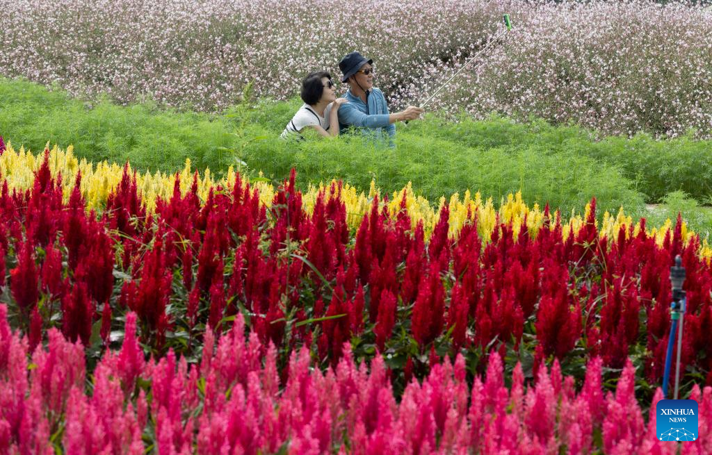 Goseokjeong flower garden festival celebrated in South Korea-Xinhua Goseokjeong flower garden festival celebrated in South Korea-Xinhua