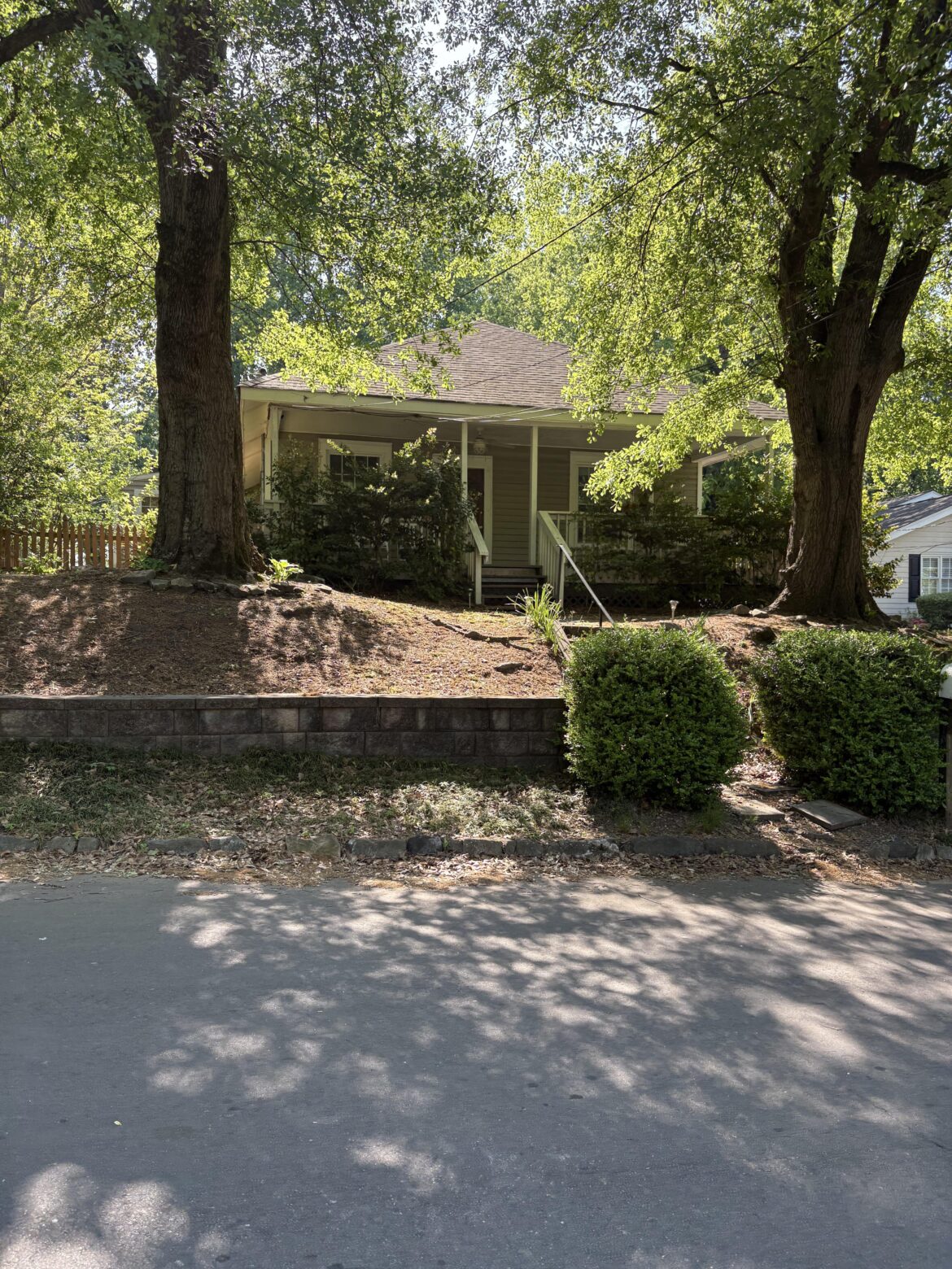 Creeping Jenny or Asiatic Jasmine for a sloped lawn?