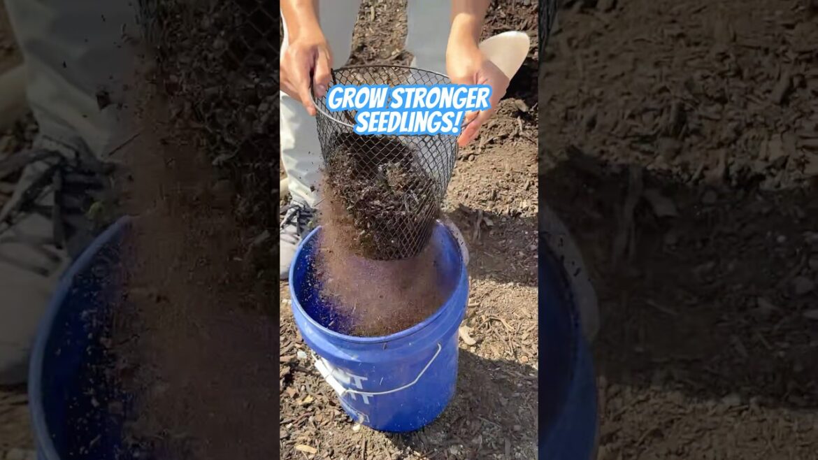 Free Garden Soil Hack That Will Save You Money! Free Garden Soil Hack That Will Save You Money!