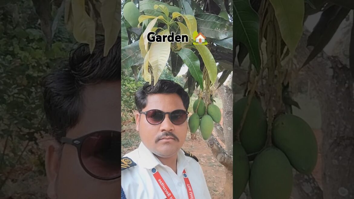 garden #supplies #vairal# video# trending