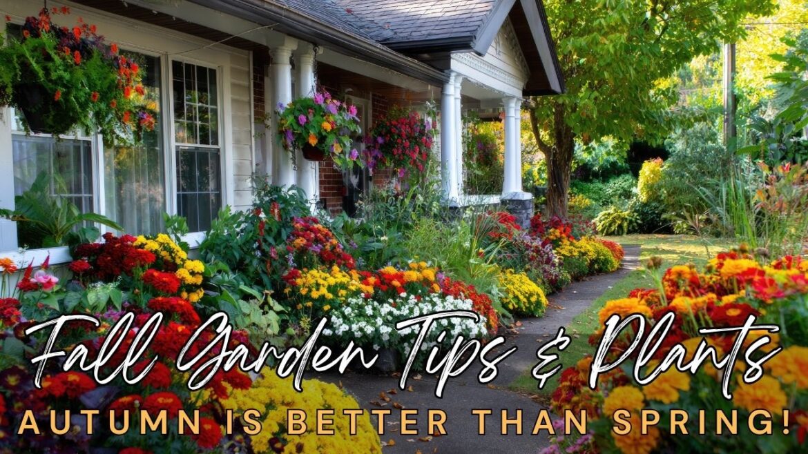 🍁 8 Genius Fall Garden Tips and Plants: Why Planting in Autumn is Better than Spring!