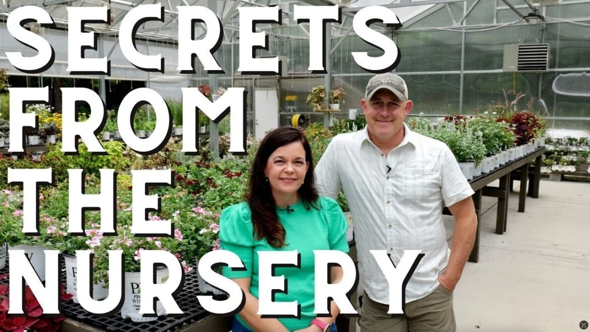 Life at Creekside Nursery: Q&A + Gardening Tips Life at Creekside Nursery: Q&A + Gardening Tips