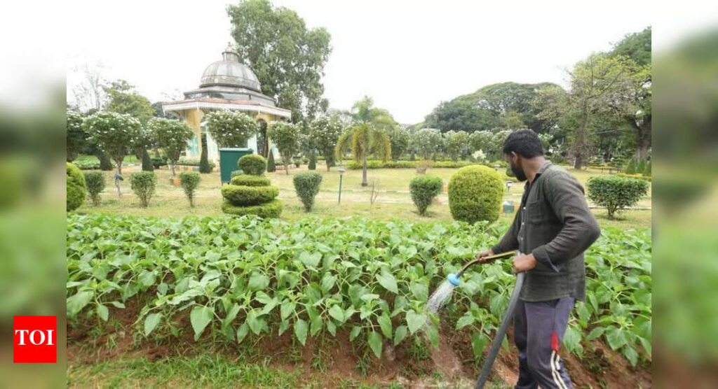 Dasara flower show to showcase floral replica of Sabarmati Ashram | Mysuru News Dasara flower show to showcase floral replica of Sabarmati Ashram | Mysuru News
