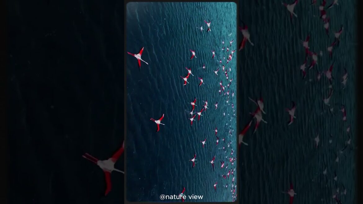 Top 5 Eco Friendly Gardening Trends You Can't Ignore in 2025