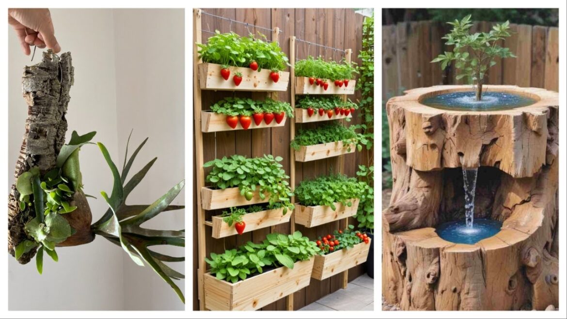 Small home garden design easy and beautiful garden design ideas