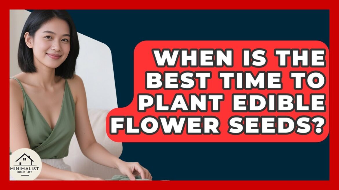 When Is The Best Time To Plant Edible Flower Seeds? - Minimalist Home Life