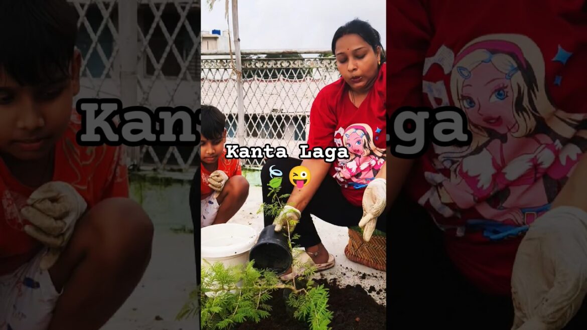 The Gardening Trends You Didn't See Coming #shorts #shortsfeed #gardening