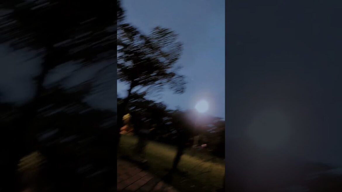 garden supplies 🏡🧑🏻‍🌾