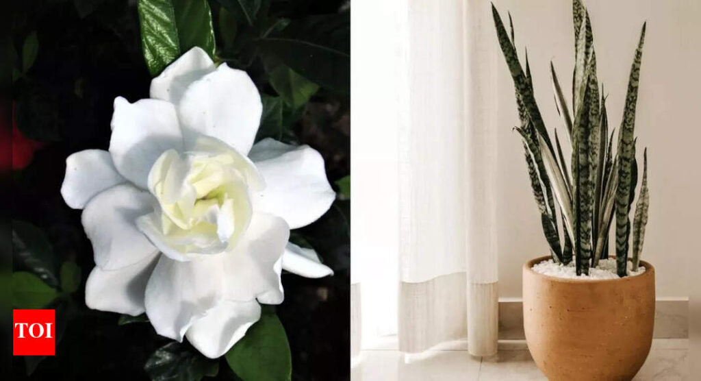 10 best artificial plants that add greenery to modern homes without any hassle |