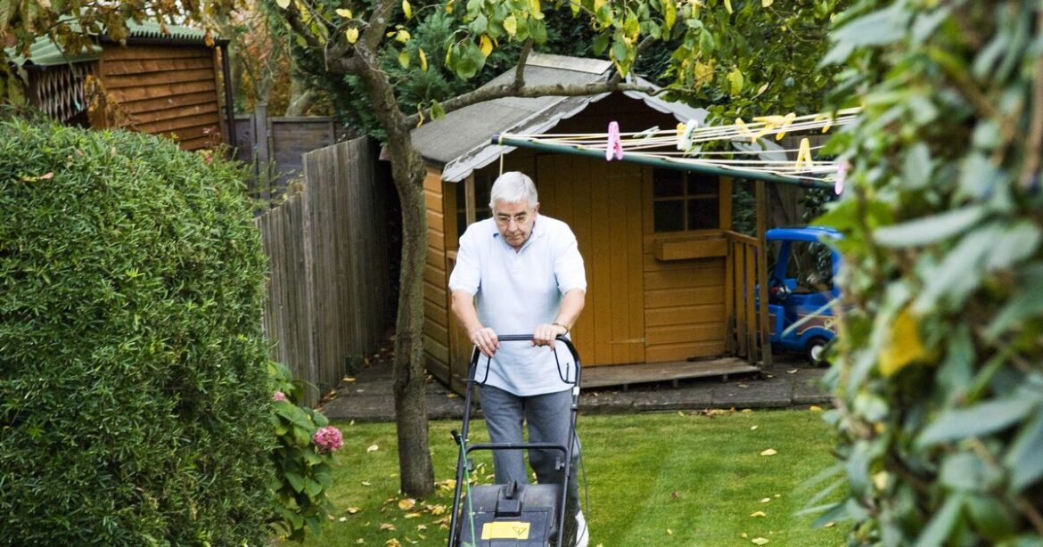 Lawn expert says September is ‘most forgiving month of the year’ – ‘take action now’ Ipso logo