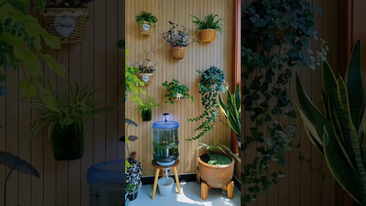 Home Entrance Garden Decor Trends🌼🌺🪴#homegardenideas #naturephotography #asmr #satisfying #ytshort