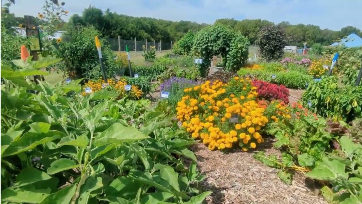 KSU Olathe Hort Research and Ext Center