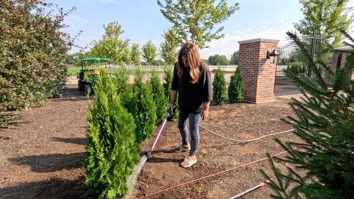 Planting the Living Wall in the Entryway Garden & Peach Strudel with Our Homegrown Peaches! 🌲🍑😋