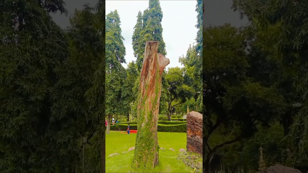 park view 😍🥰#shortvideo #shortfeeds #youtube #trends