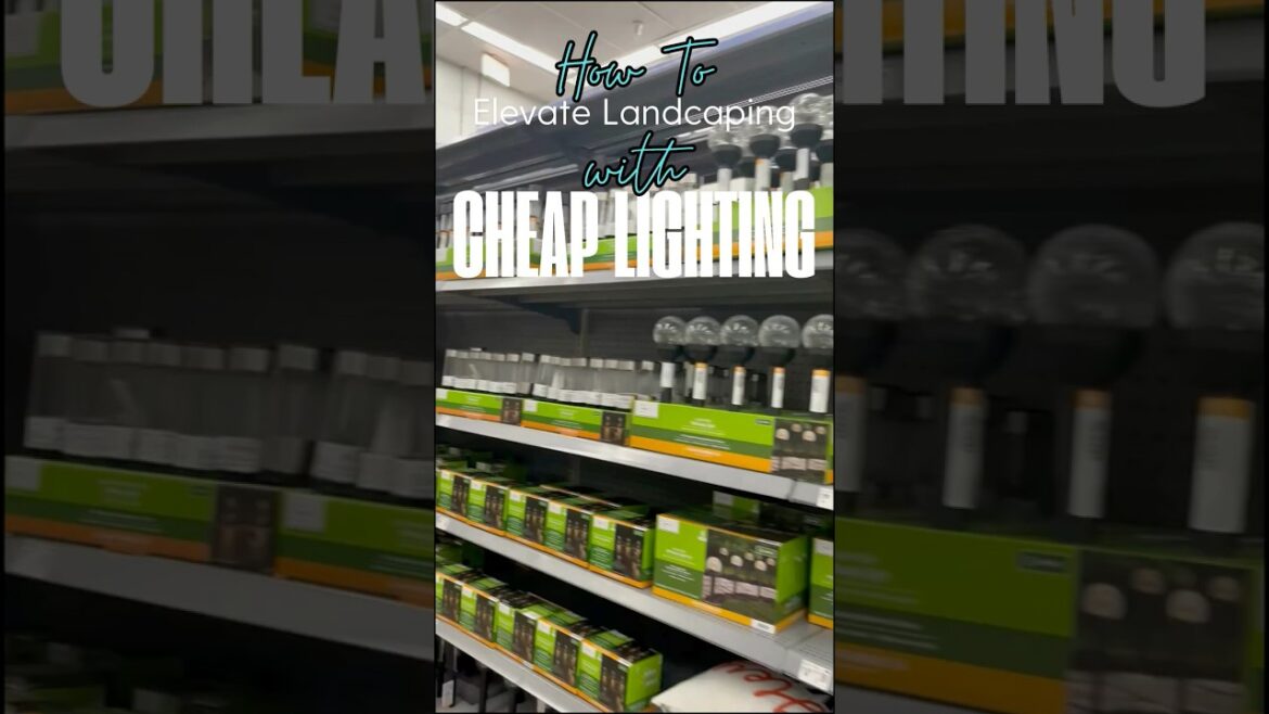 Elevate Landscaping with Solar Lights | Cheap to Chic #shorts #curbappeal #frontyardmakever #solar Elevate Landscaping with Solar Lights | Cheap to Chic #shorts #curbappeal #frontyardmakever #solar