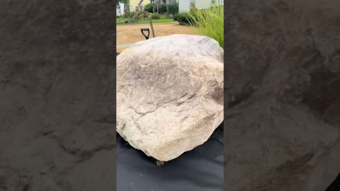 Landscaping around a 10,000 lb boulder! Transplant time! 🌱 #boulder #landscaping #lawn #yard #rock Landscaping around a 10,000 lb boulder! Transplant time! 🌱 #boulder #landscaping #lawn #yard #rock